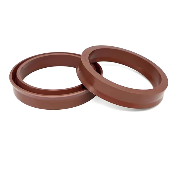 Viton v seal